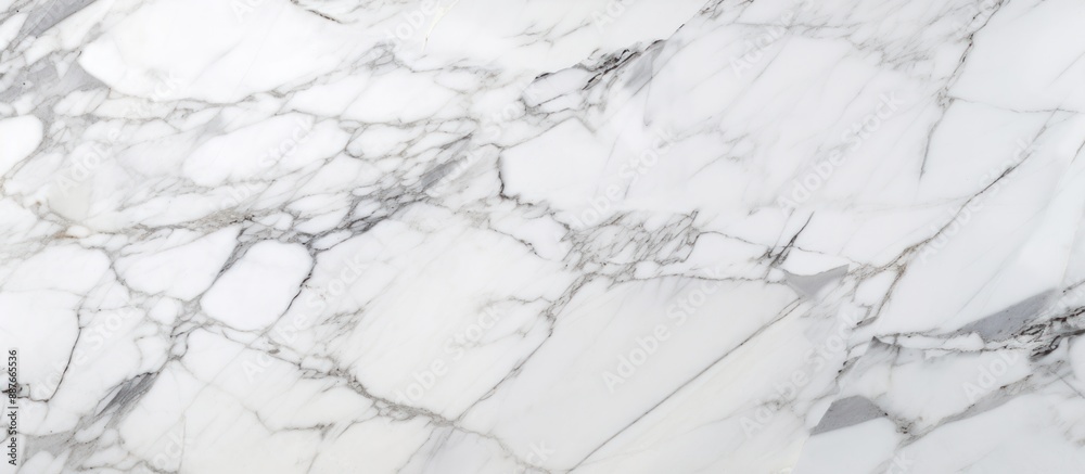 White Marble Texture with Gray Veins White Marble Texture with Gray Veins