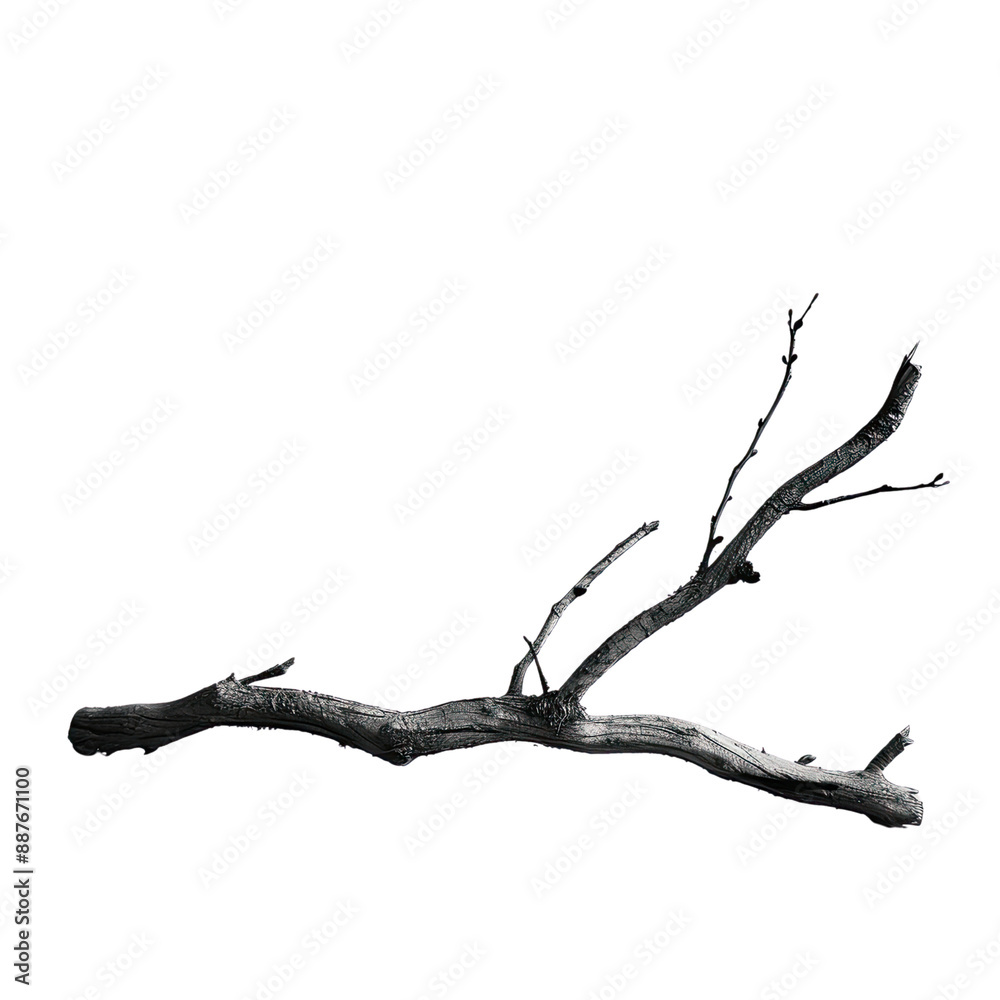 Fototapeta premium Plant And Tree, Generative AI