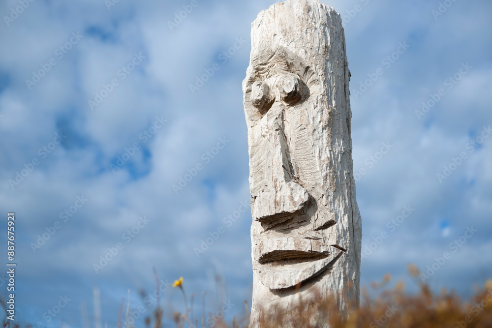 Driftwood Totem on Ohope dunes. Driftwood Totem on Ohope dunes.
