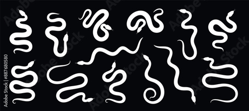 Snake silhouette set. Isolated snake silhouette on white background