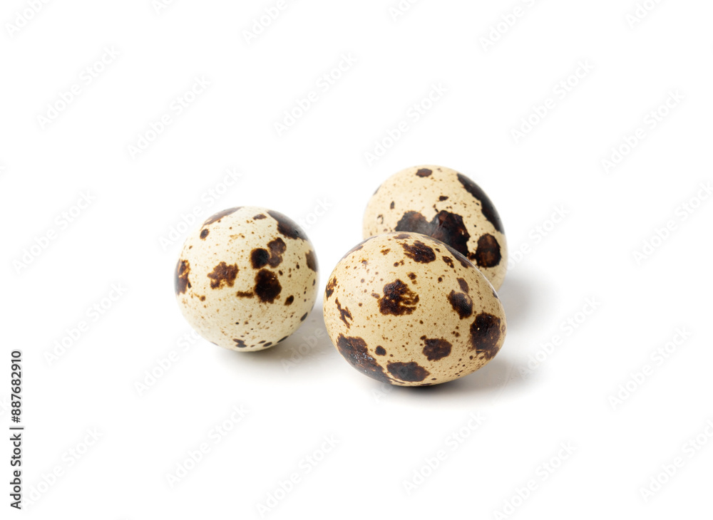 Quail Eggs, Diet Egg, Healthy Breakfast, Natural Organic Nutrition, Salad Ingredient Spotted Quail Egg Quail Eggs, Diet Egg, Healthy Breakfast, Natural Organic Nutrition, Salad Ingredient Spotted Quail Egg