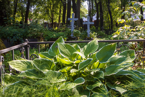 At the Smolensk Cemetery in St. Petersburg, Russia