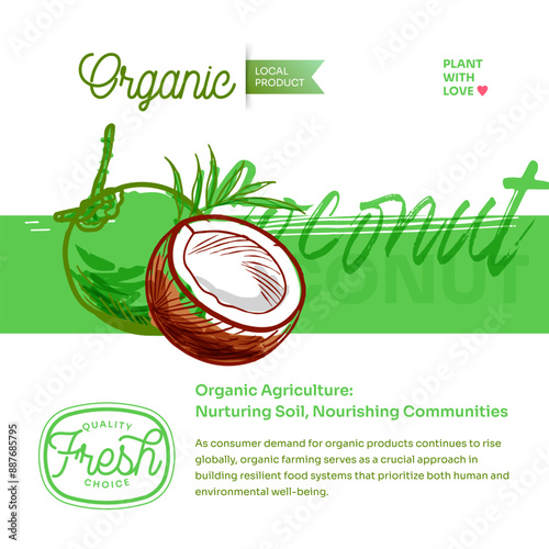 Coconuts hand drawn exotic tropical fruit vector post, flyer and label