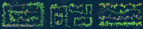 Cartoon modern illustration set of jungle helix plant branch with leaves and flowers. Rainforest creeping tree parts.
