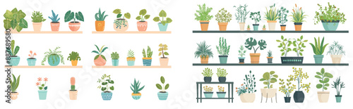 Garden interior with set of plants in pots. Indoor greenhouse room decor with shelf and flowerpot icons. Sprout and ficus design for store patio or deck with houseplants.