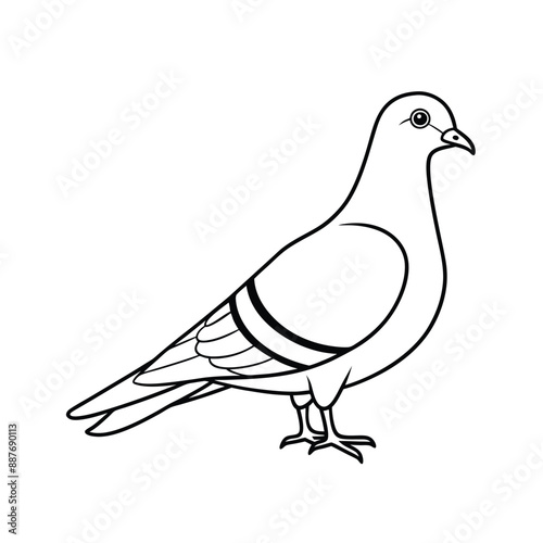 Rock Pigeon Bird Line Art Icon Logo Vector Design photo