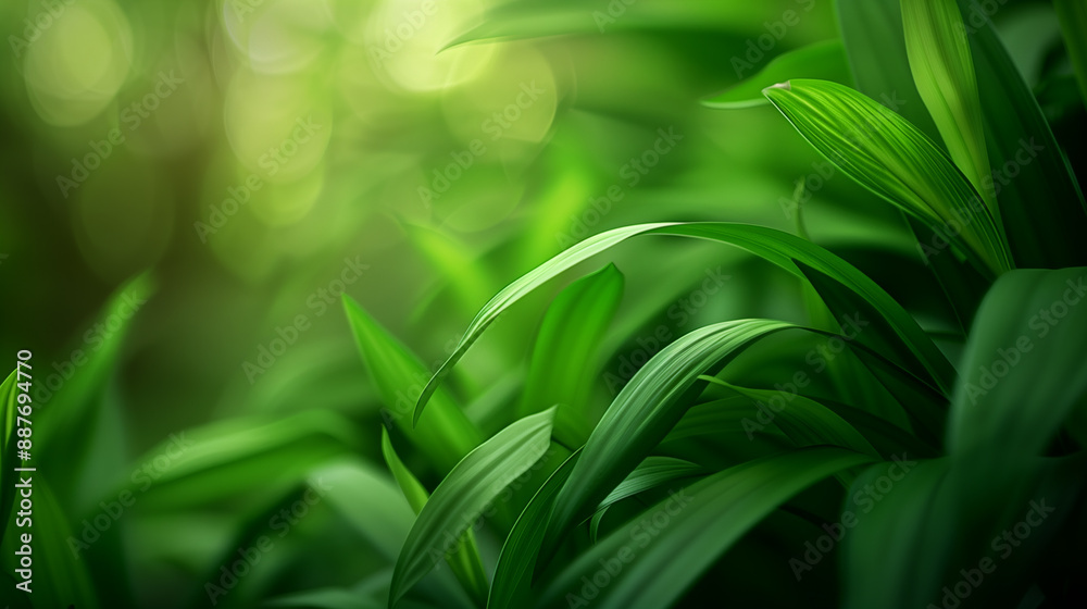 Fototapeta premium Abstract Botanical Art with Leaf Patterns and Soft Focus