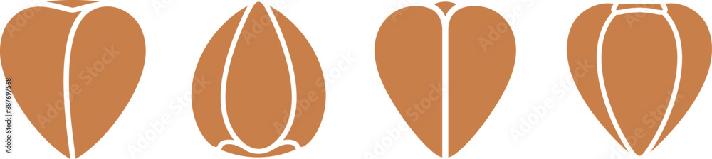 Fototapeta premium Buckwheat set. Isolated buckwheat on white background