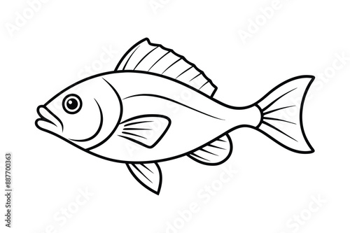 Adobe IllustRockfish Whole Body Vector Line Art Illustration Icon Logorator Artwork