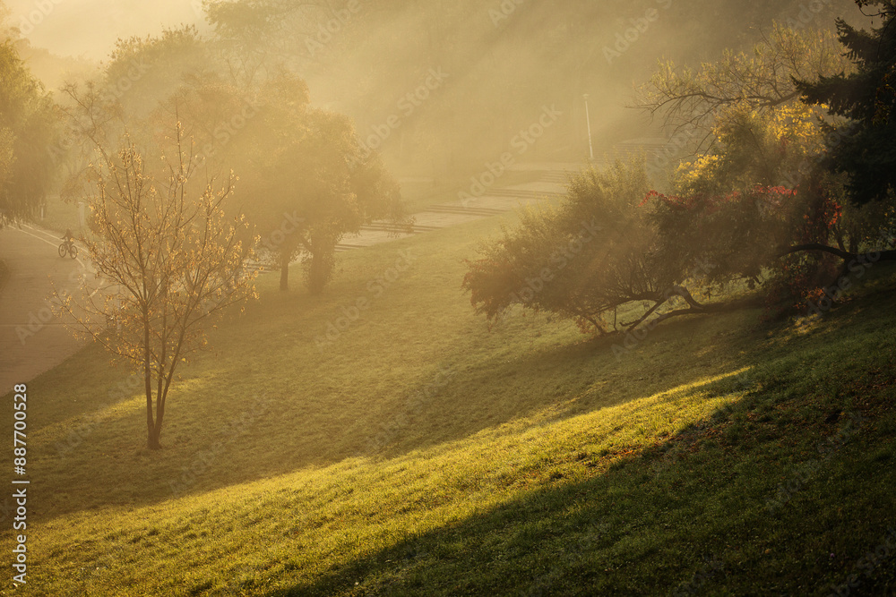 Beautiful morning in a park in autumn time