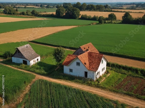 House in the field