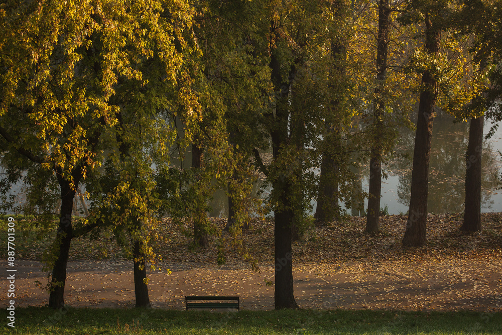 Empty bank in a park in autumn time with colourful leafs