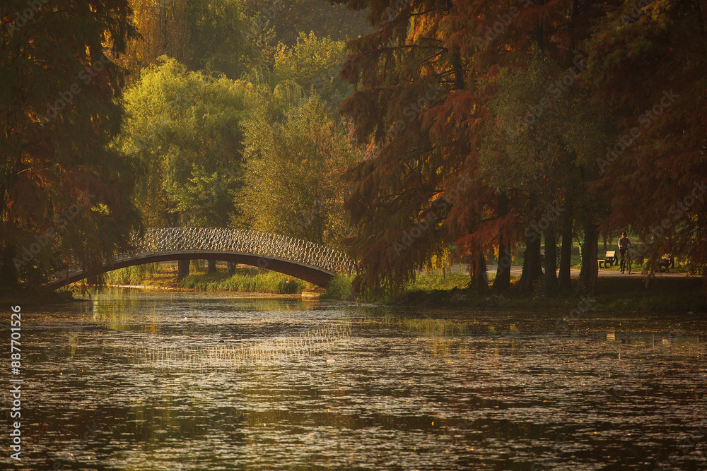 Bridge in a park over a lake in autumn season with coloufrul leafs