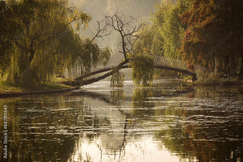 Bridge in a park over a lake in autumn season with coloufrul leafs