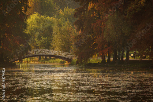 Obraz na płótnie Bridge in a park over a lake in autumn season with coloufrul leafs w salonie