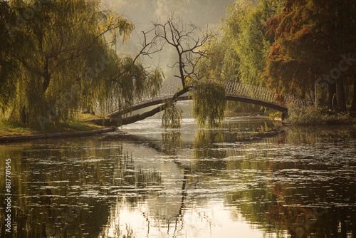 Obraz na płótnie Bridge in a park over a lake in autumn season with coloufrul leafs w salonie