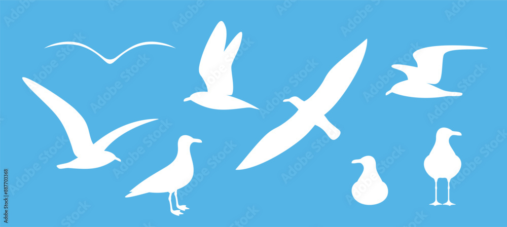 Seagull silhouette. Isolated seagull on white background. Bird Seagull silhouette. Isolated seagull on white background. Bird