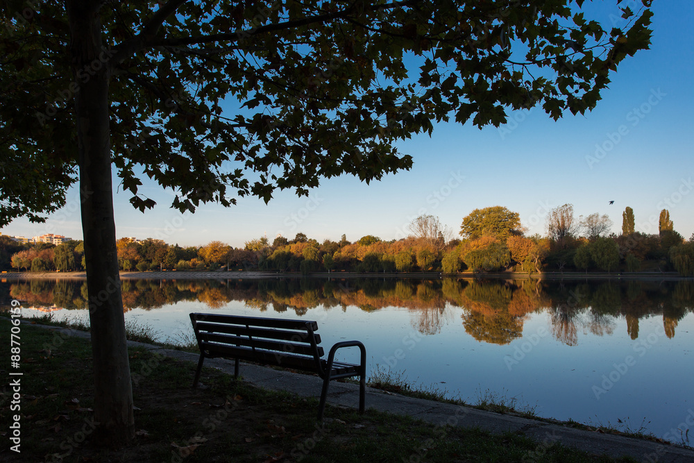 Beautiful landscape in a park in autumn season with lake in background and colourful leafs