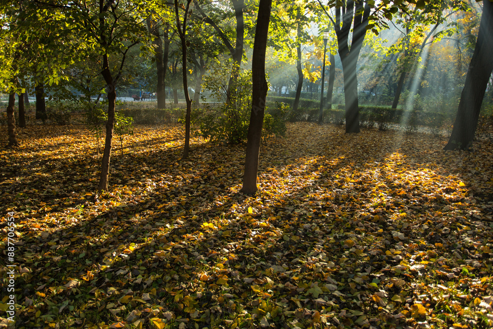 Beautiful colors in a park in autumn season Beautiful colors in a park in autumn season