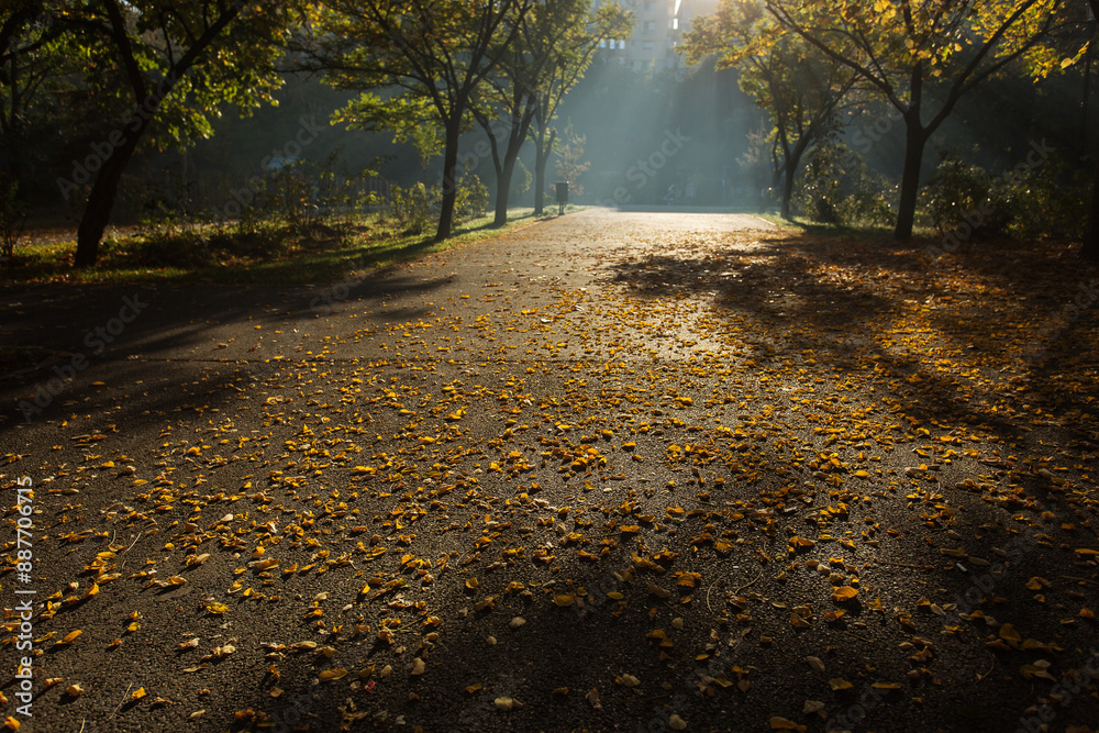 Beautiful colors in a park in autumn season