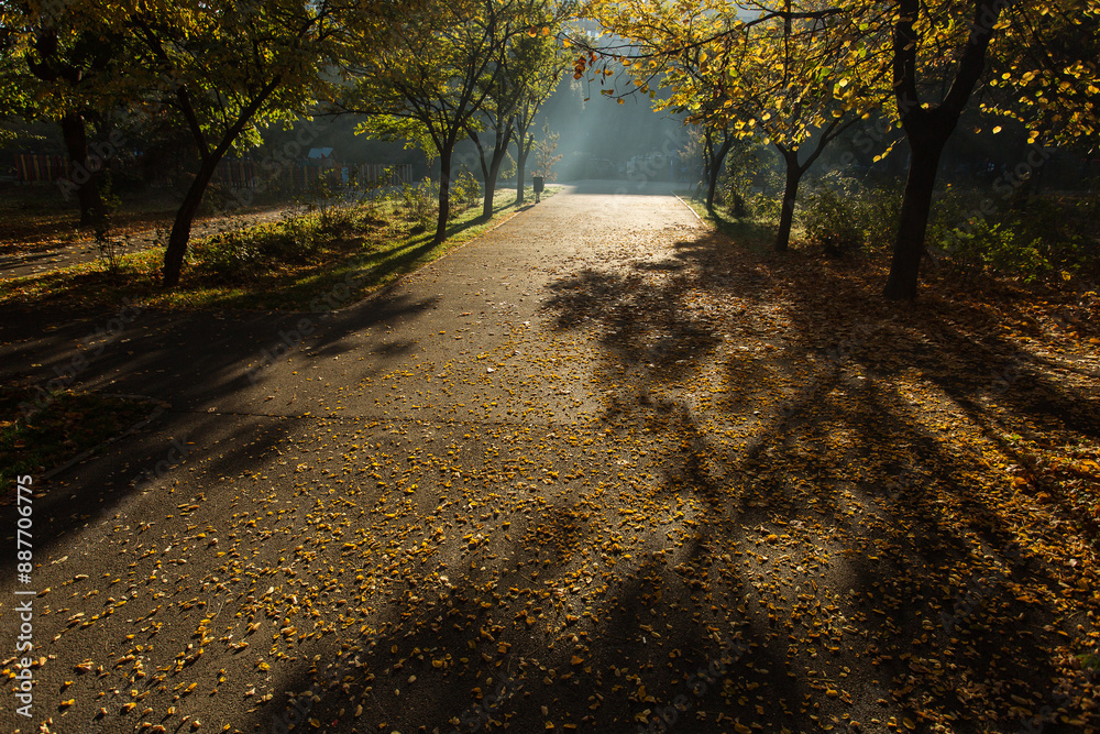Beautiful colors in a park in autumn season