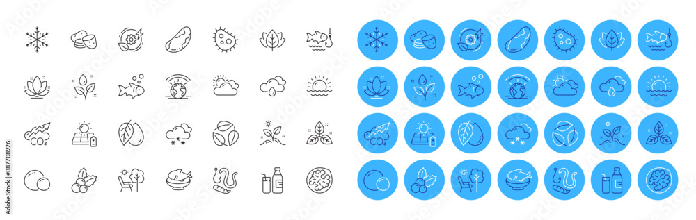 Solar panel, Mineral oil and Organic tested line icons pack. Brazil nut, Fish, Plants watering web icon. Peas, Fishing, Fair trade pictogram. Snow weather, Greenhouse, Deckchair. Vector Solar panel, Mineral oil and Organic tested line icons pack. Brazil nut, Fish, Plants watering web icon. Peas, Fishing, Fair trade pictogram. Snow weather, Greenhouse, Deckchair. Vector