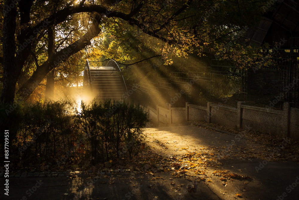 Beautiful landscape in a park in autumn season and colourful leafs