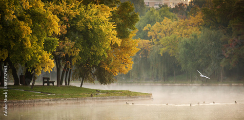 Park at sunrise with beautiful autumn colors and lake in background