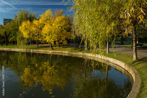 Obraz na płótnie Park at sunrise with beautiful autumn colors and lake in background w salonie