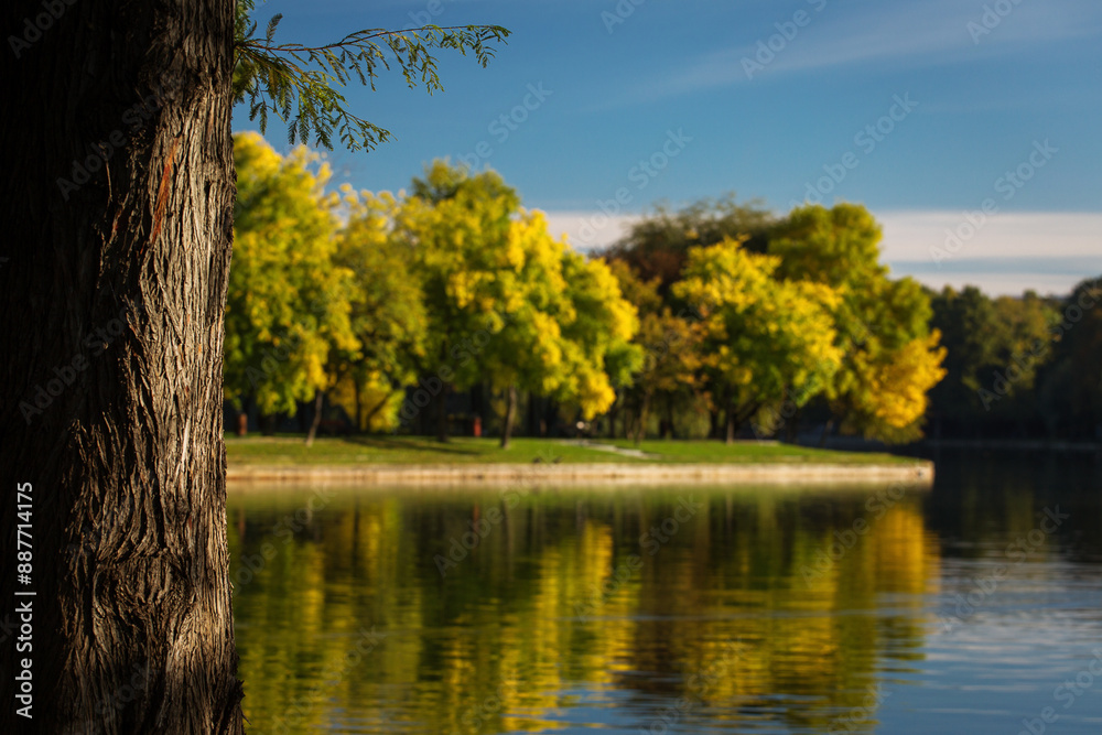 Park at sunrise with beautiful autumn colors and lake in background