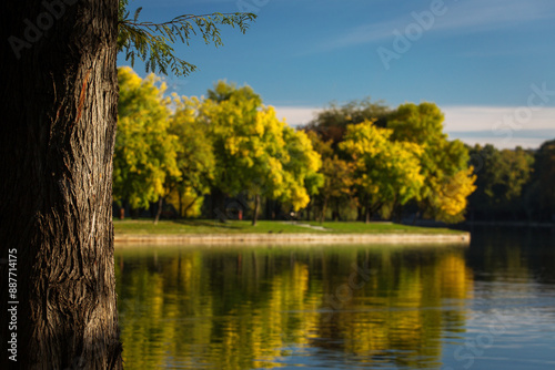 Obraz na płótnie Park at sunrise with beautiful autumn colors and lake in background w salonie