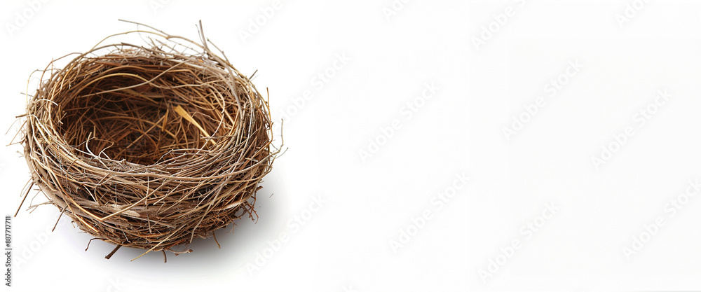 Obraz premium nest, bird, isolated, empty, white, nature, straw, home, natural, anima text copy space 