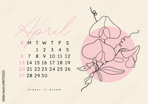 Horizontal calendar page for April 2025 with spring sweet pea flower. Isolated on beige background. Week starts on Sunday. Vector outline illustration