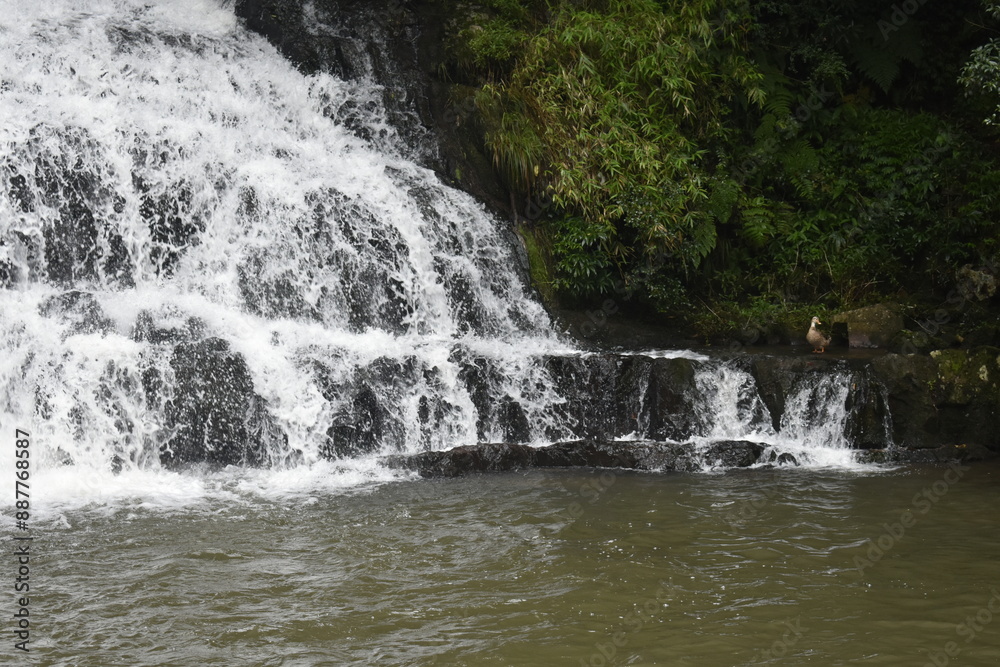 Fototapeta premium Sight seeing in Shillong, Meghalaya
