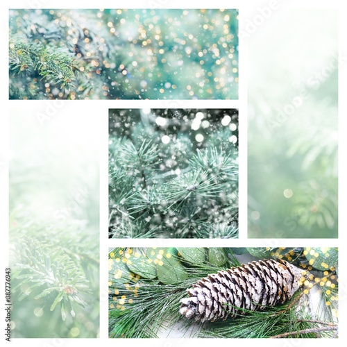Christmas tree branches col...