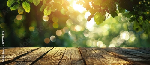 Morning sunlight and green ...