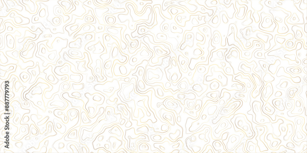 Fototapeta premium Abstract topography map, topology line map, geographic abstract grid vector background. 