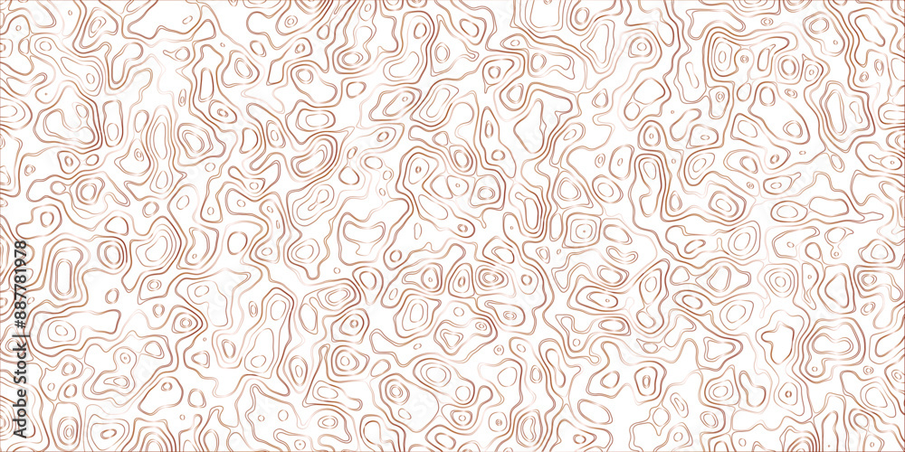 Fototapeta premium Abstract topography map, topology line map, geographic abstract grid vector background.