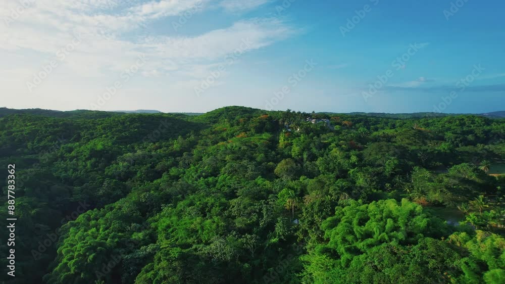 drone shot of forest with blue sky
drone shot of forest with blue sky