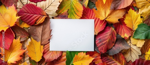 A vivid display of colorful...
