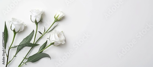 Postcard mockup featuring e...