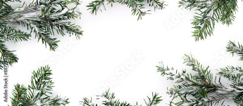 White background with a fir...