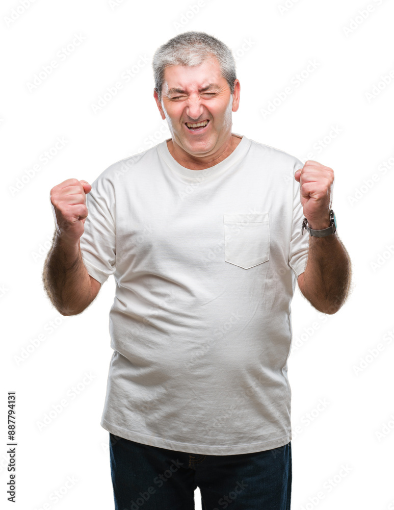 Handsome senior man over isolated background excited for success with arms raised celebrating victory smiling. Winner concept. Handsome senior man over isolated background excited for success with arms raised celebrating victory smiling. Winner concept.