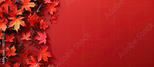 Fall leaves set against a r...