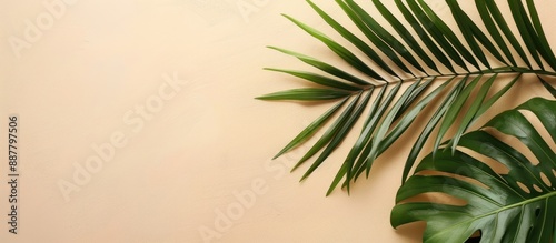 Flat lay with a tropical vi...