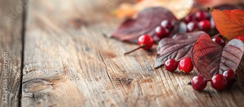 Vivid cherry leaves and for...
