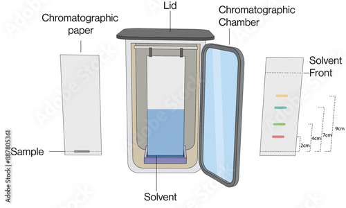 Ascending Chromatography Principles and Instrumentation Detailed Vector Illustration in White Background, Analytical Chemistry, Lab Techniques.