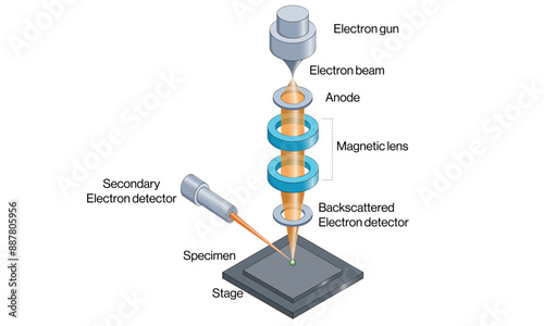 Detailed Vector Illustration of Scanning Electron Microscopy Principle and Instrumentation on White Background.