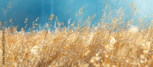 Nature themed wallpaper wit...