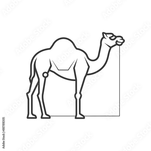 Single-Humped Camel Line Art Illustration, Geometric Background